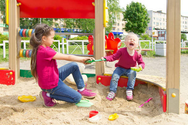 Что делать, если ребенок отбирает игрушки у детей: советы психолога