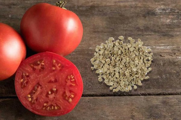 Полезные советы по подготовке семян томатов к посеву
