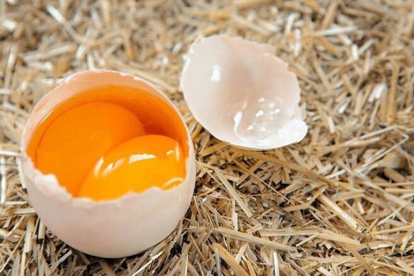 Правда или миф: одно яйцо в день сделает вашего ребенка умнее