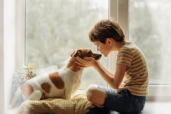 Ребенок просит купить животное: как правильно отказывать и уступать