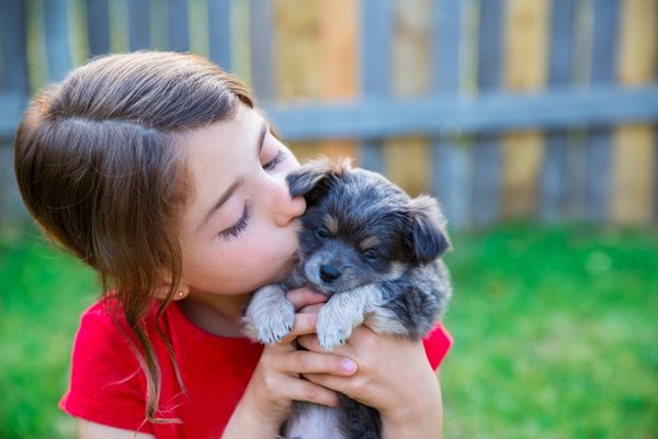 5 пород собак, которые лучше всего ладят с детьми