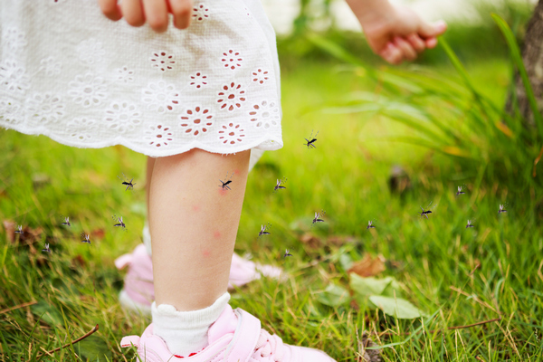 Как защитить ребенка от насекомых