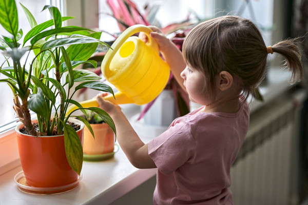 Какие растения опасно ставить в детскую комнату