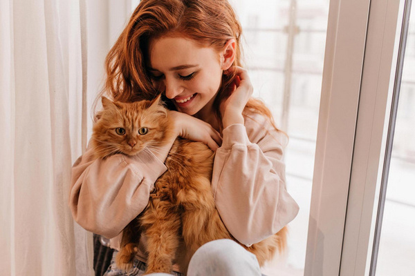 Лучшие черты характера и поведения, которые женщине следует перенять у собственной кошки