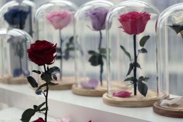 Роза в колбе: оригинальный подарок для любого случая